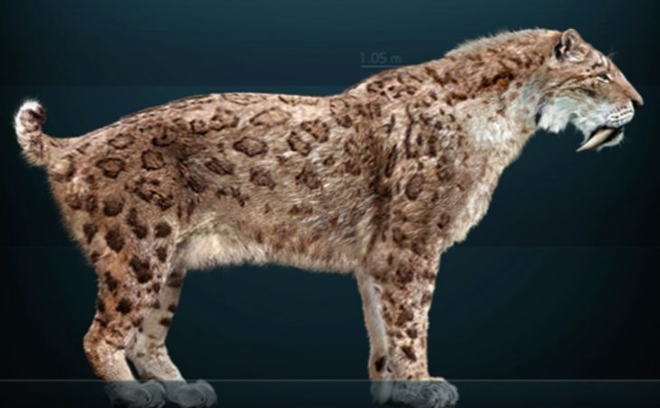 Fearsome Animals- The Saber-toothed Tiger